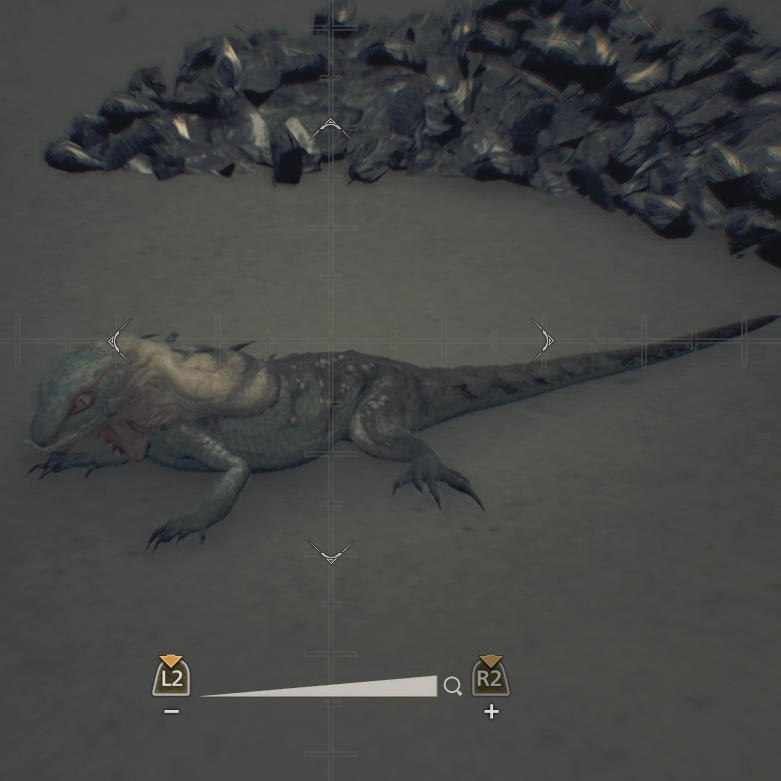 ツメコミエリトカゲ