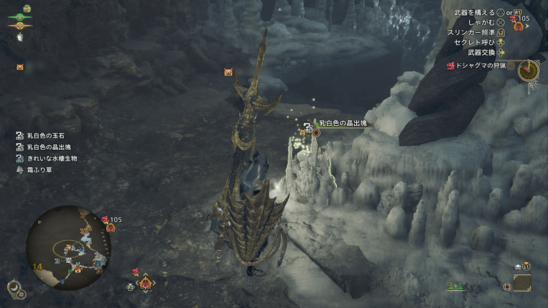 大リュウヌ現地