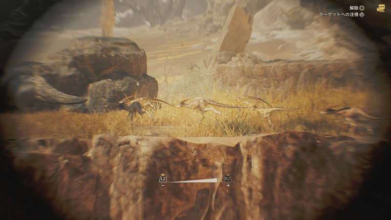 カザキリカケリの画像