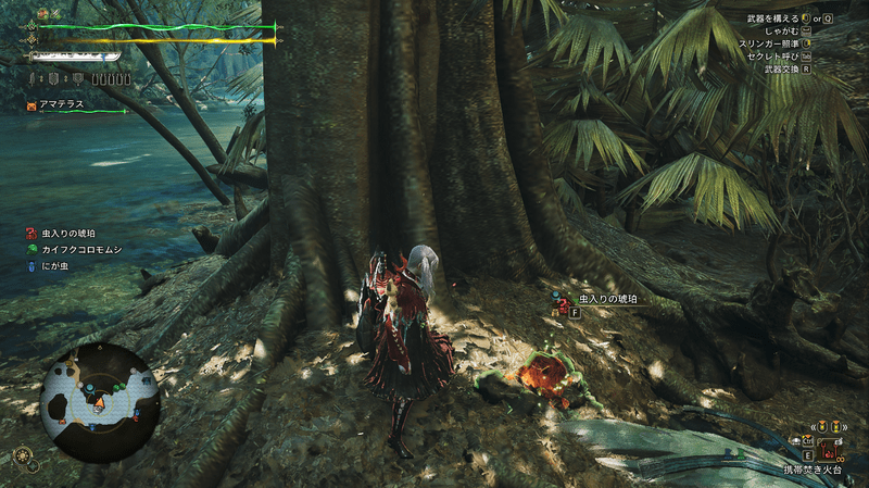 上質な緋琥珀の周囲の様子