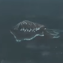 ニュウドウイカ