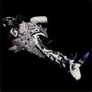 テルマ=アルジャナⅠの外見