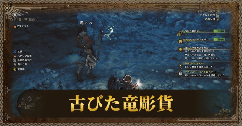 古びた竜彫貨