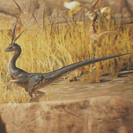 クロカゼカケリ