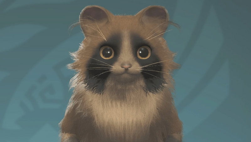 タヌキ