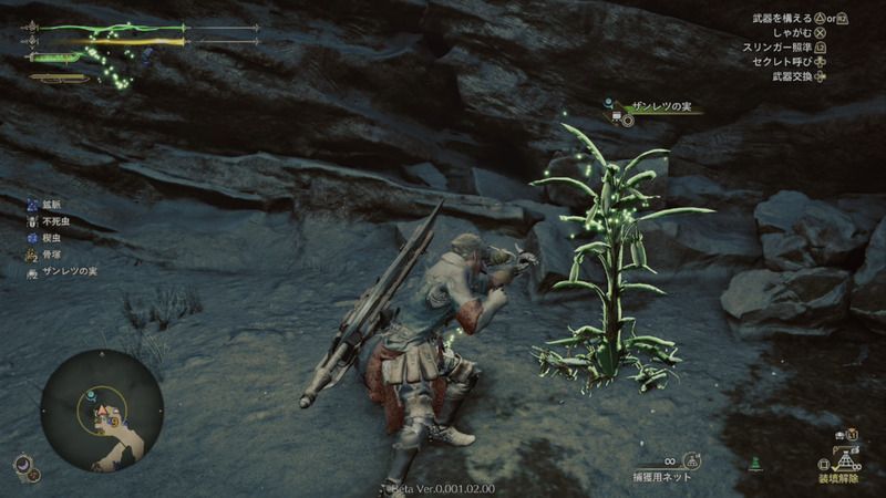 ザンレツの実の周囲の様子