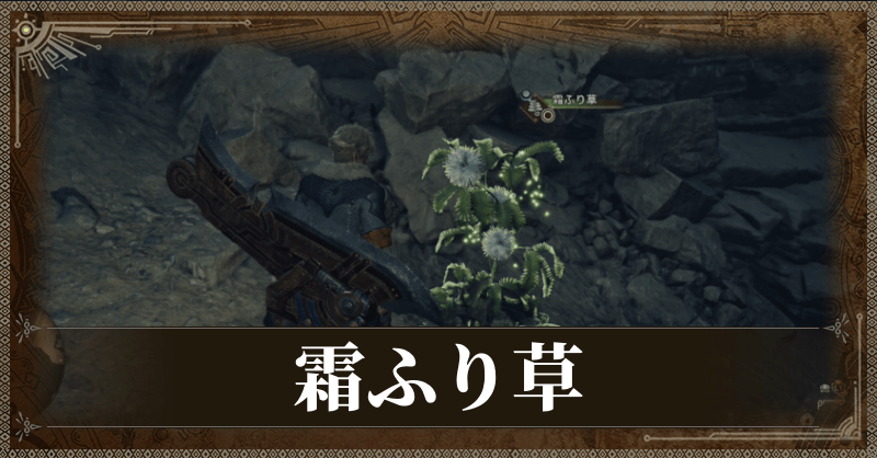霜ふり草