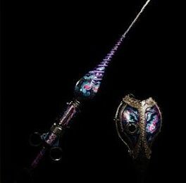 ププロ槍テトロドクスの外見