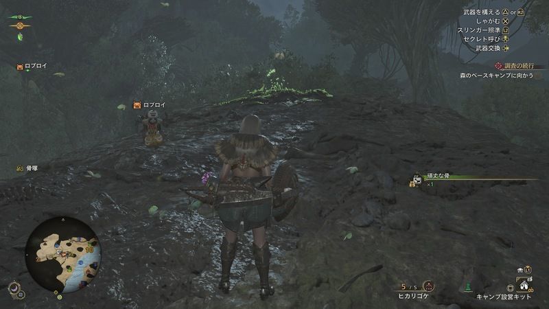 緋の森エリア10