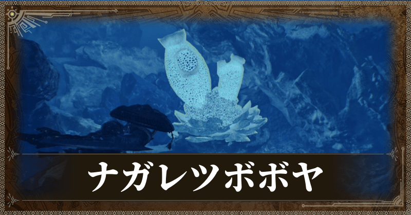 ナガレツボボヤ