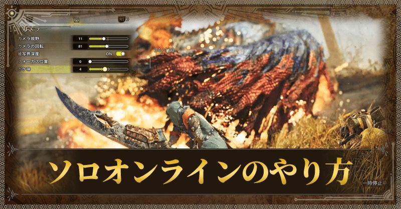 ソロオンラインのやり方