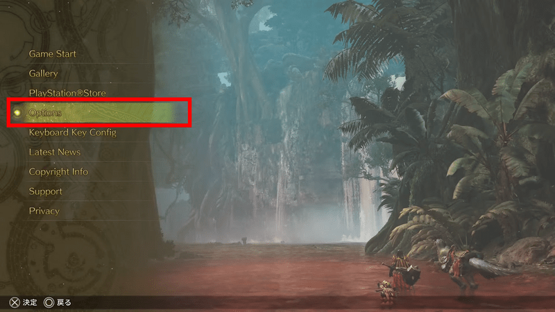 オプションを開く