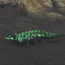 ホムラエリトカゲ