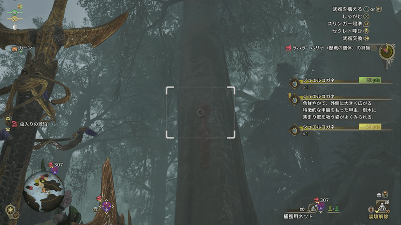 ジュエルコガネの画像