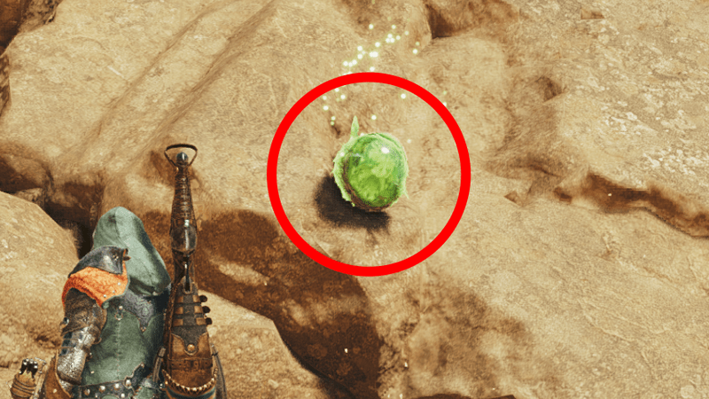 カイフクコロモムシ