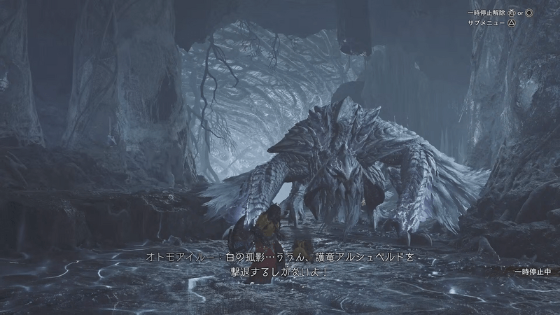 護竜モンスター