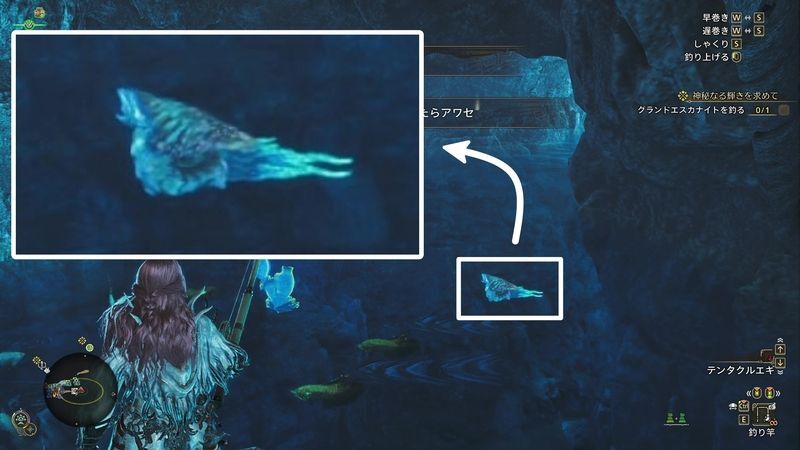 グランドエスカナイト見た目