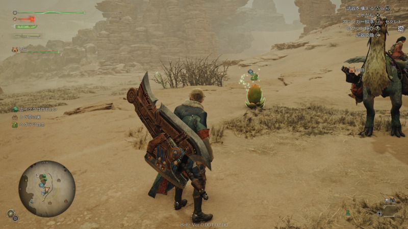 上質なヘダテアロエの周囲の様子