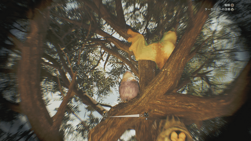 ビセイウタイズク