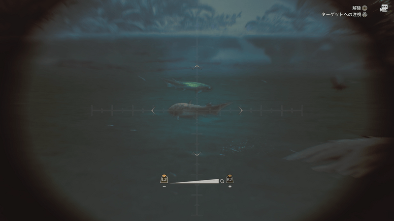 コモチアミアの画像