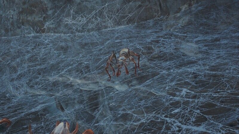 ネルスキュラベビー