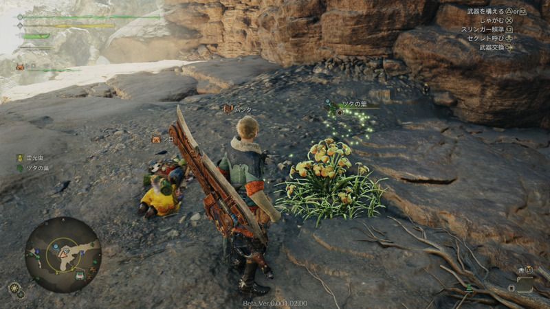 ツタの葉の周囲の様子