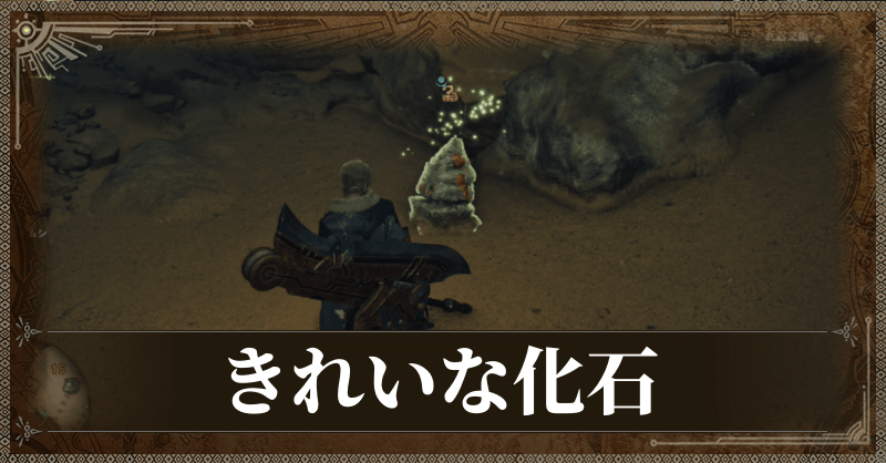 きれいな化石