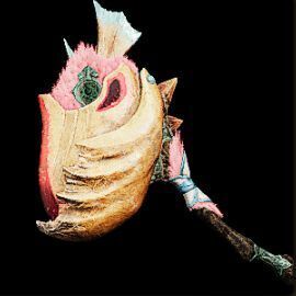 クックザップの外見