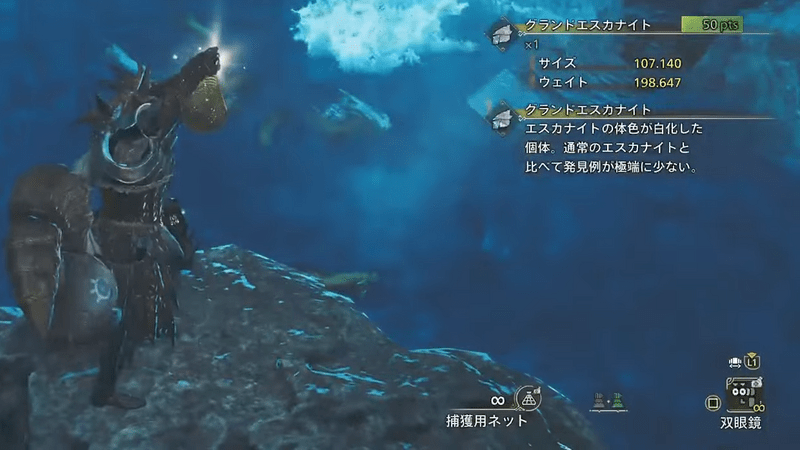 グランドエスカナイト捕獲ネット