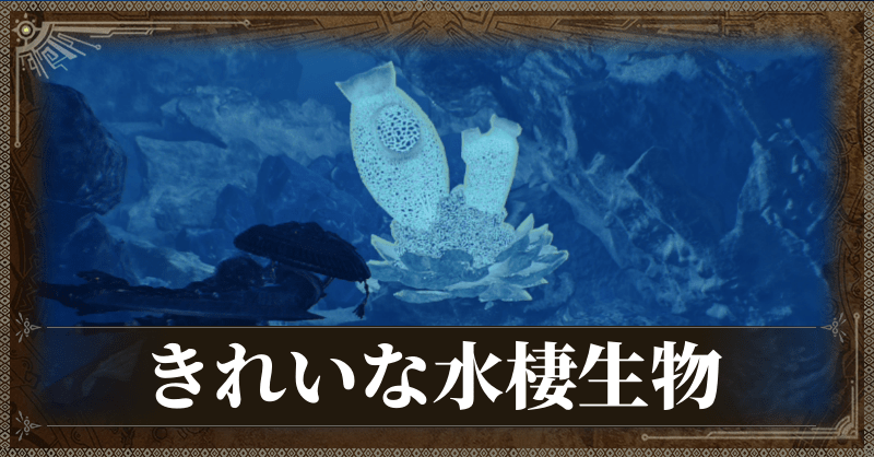 きれいな水棲生物
