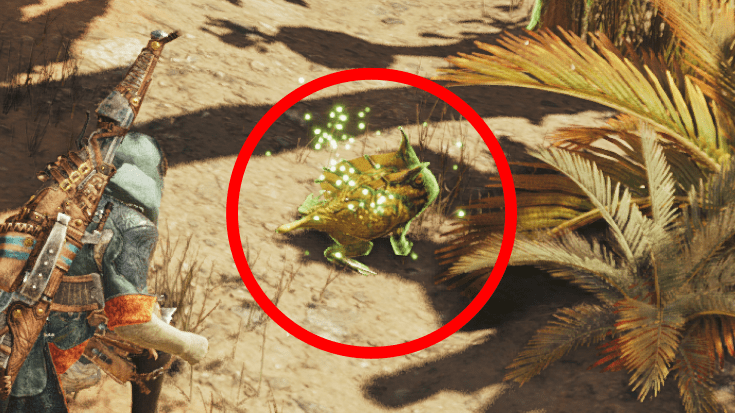 シビレガスガエル