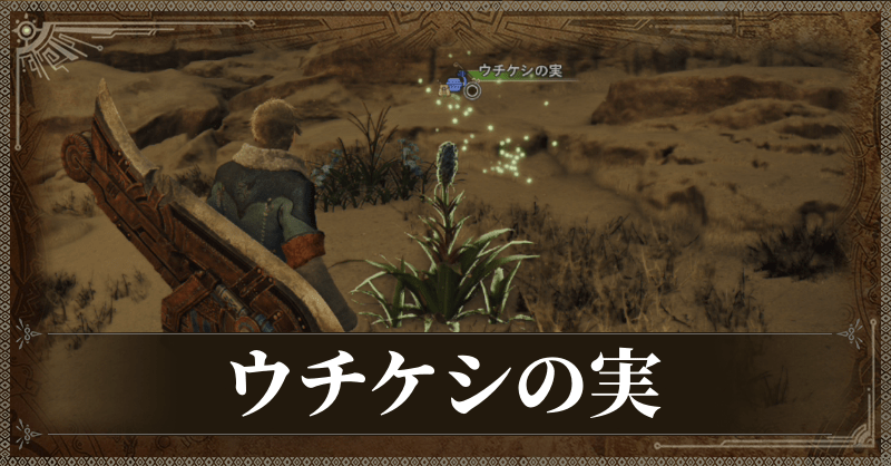 ウチケシの実