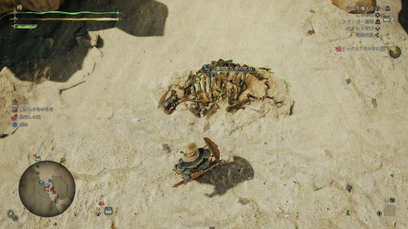 黒ずんだ骨の化石