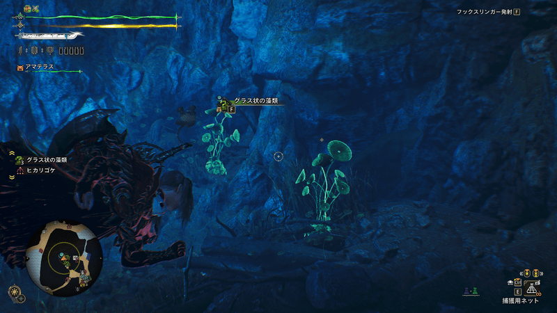 グラングラスウィードの周囲の様子