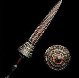 沙海槍プラハヒレヤの外見