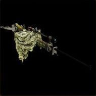 妃竜砲【遠撃】Ⅰの外見