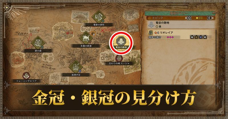 金冠・銀冠の見分け方