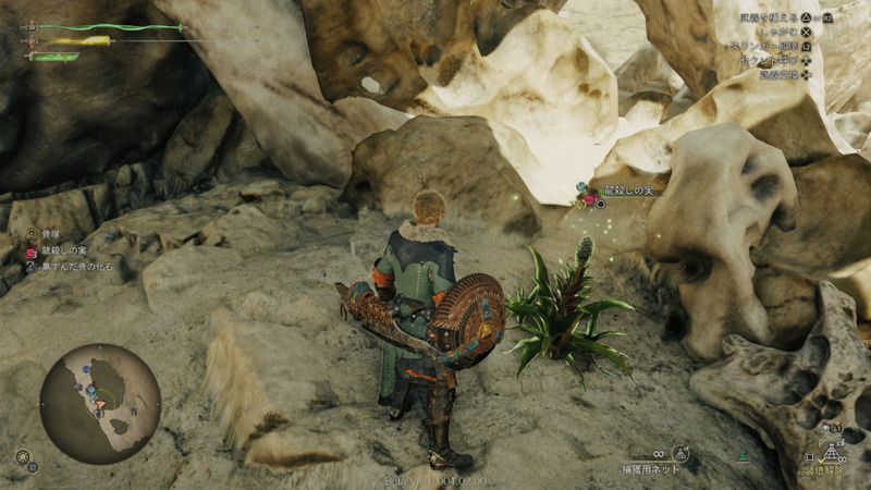 龍殺しの実の周囲の様子