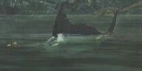 ダイオウカジキ