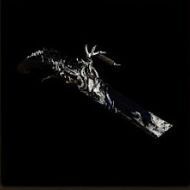 異界の銃火Ⅰ外見