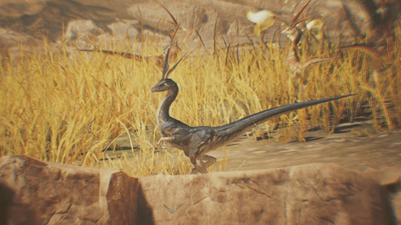 クロカゼカケリ