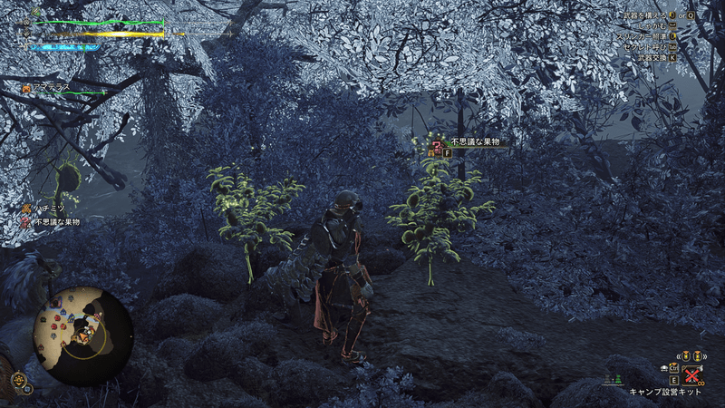 超熟リュウトホウズキの周囲の様子