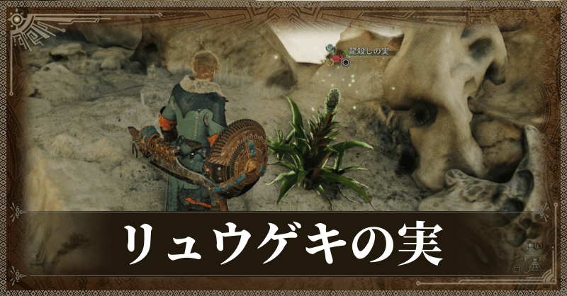 リュウゲキの実