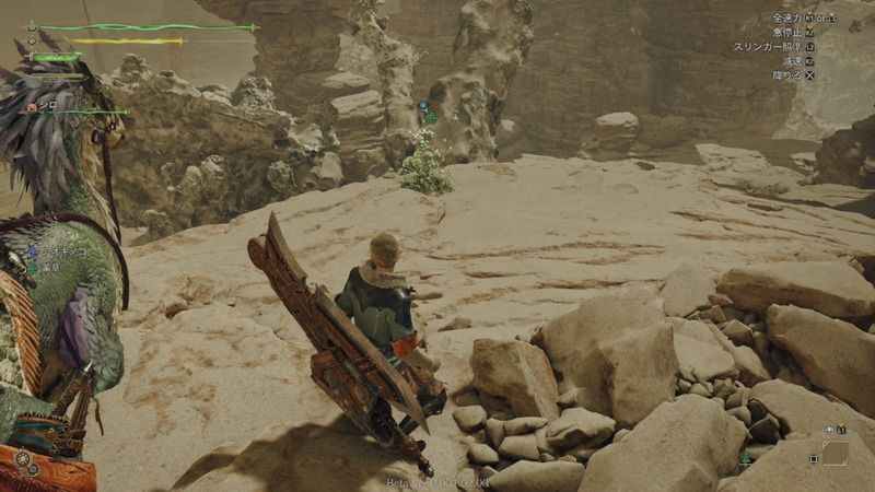 薬草の周囲の様子