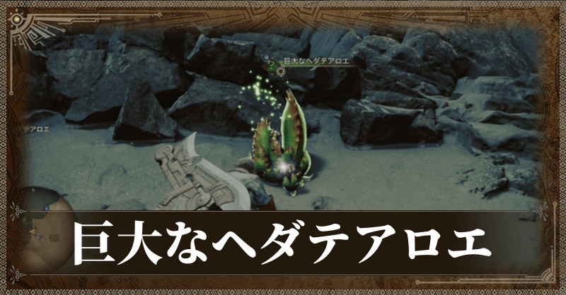 ドスヘダテアロエ