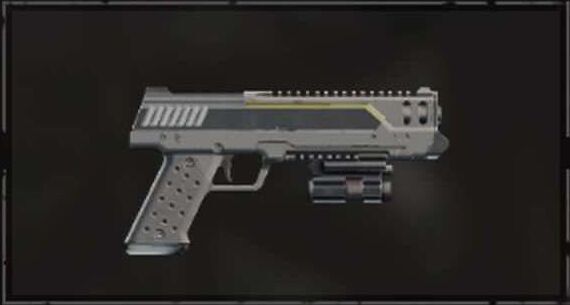 P-113 バーディクト