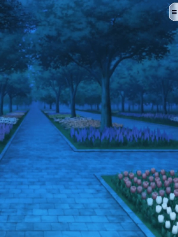 カルディリアの公園・夜