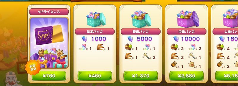 VIPライセンスを購入する