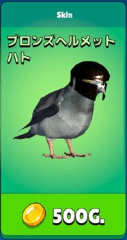 ブロンズヘルメットハト