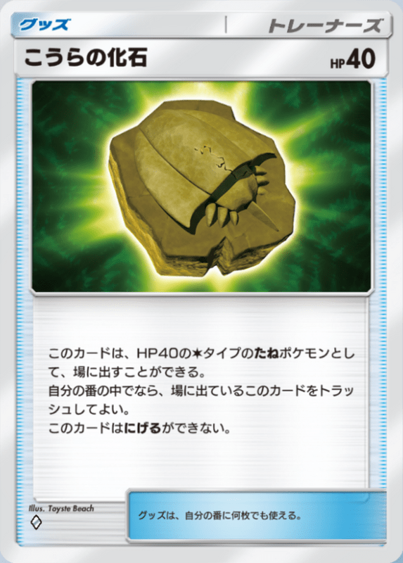 217_こうらの化石